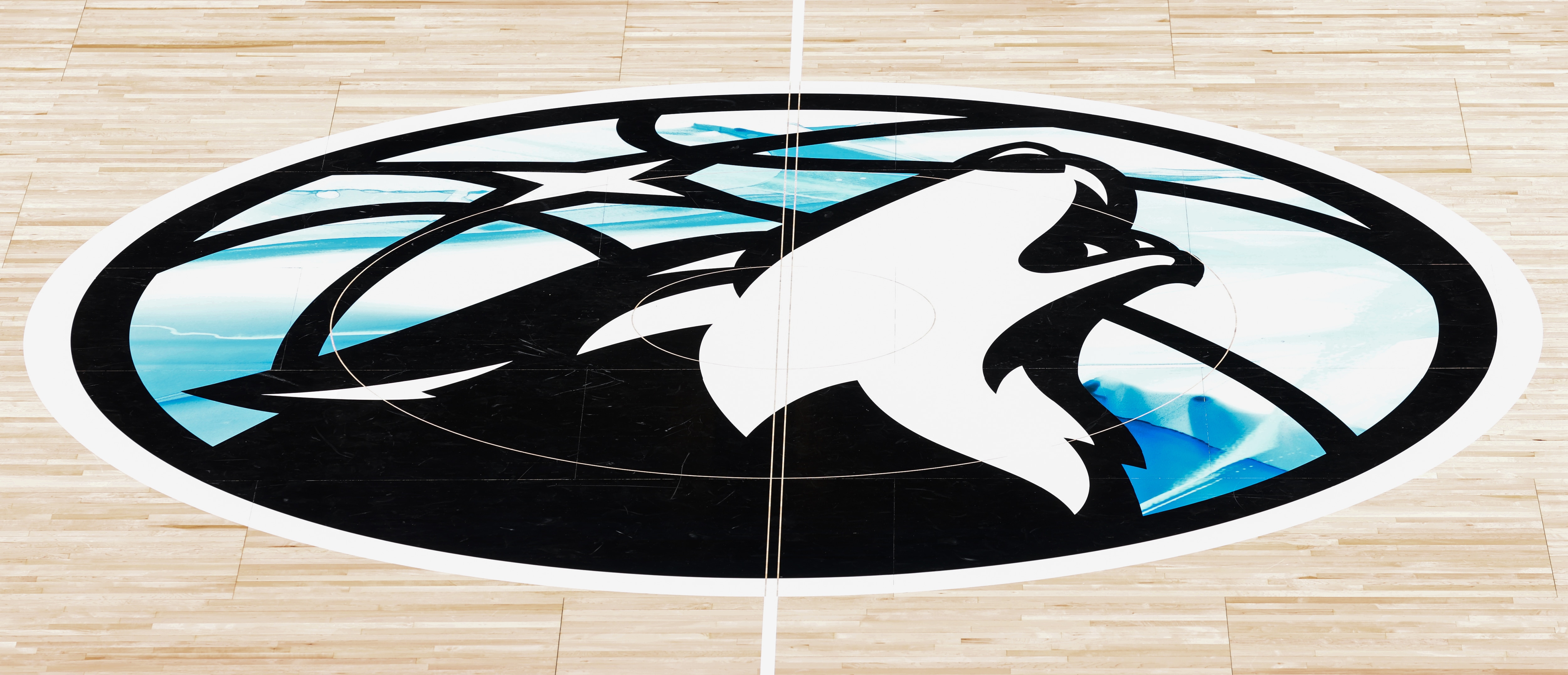 Matthew Caldwell Named Timberwolves, Lynx CEO