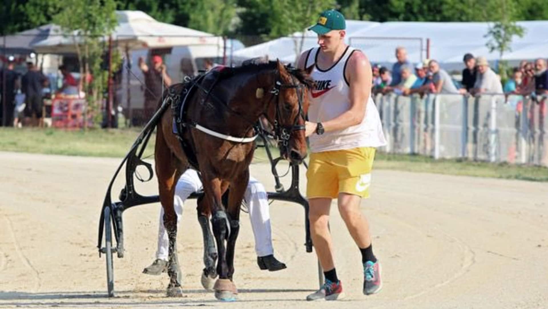 Nikola Jokić Emotional After His Horse's Racing Win